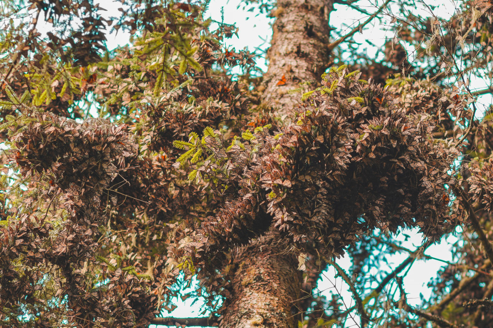 Avantages en nature et fiche de paie : tout ce que vous devez savoir